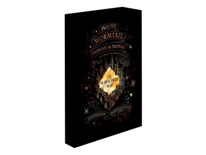 harry potter obraz led svitici 30x40 cm pobertuv planek