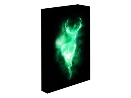 harry potter obraz led svitici 30x40 cm patron