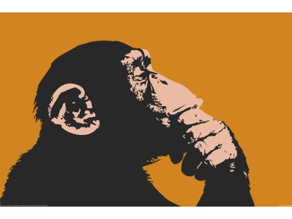 plakat monkey thinking