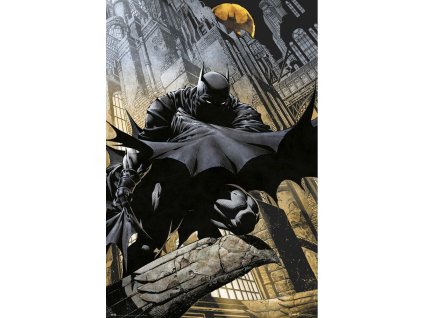 dc comics batman i97649