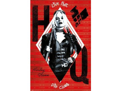 14084 the suicide squad harley quinn