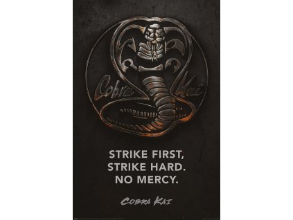 cobra kai metal i126657