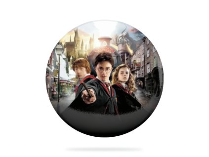 Harry Potter 11 Badge Picture