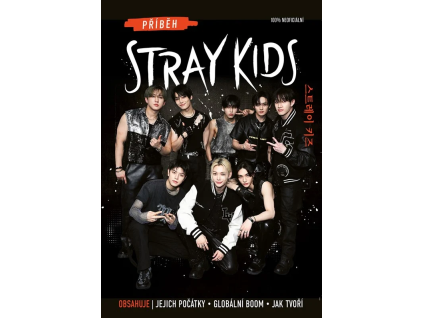 Příběh Stray Kids