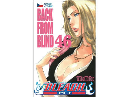 Bleach 46: Back From Blind