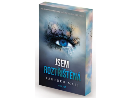 Jsem roztříštěná