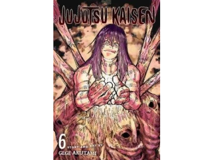 Jujutsu Kaisen 6