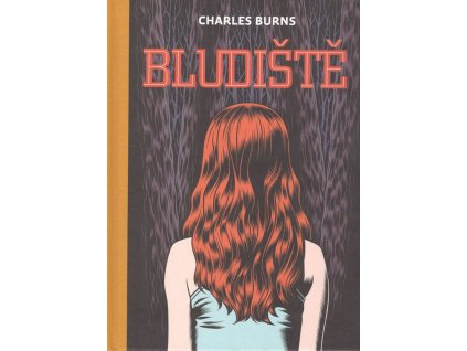 99411193 bludiste 1 1