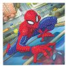 carte broderie diamant spider man crystal art d i y CCK MCU905