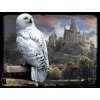 m puzzle harry potter hedvika 3d 300 dilku 105229