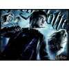 m puzzle harry potter nebelvir 3d 300 dilku 144792