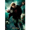 m puzzle harry potter ron weasley 3d 300 dilku 144789