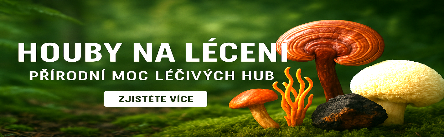 Houby na léčení: Přírodní moc léčivých hub