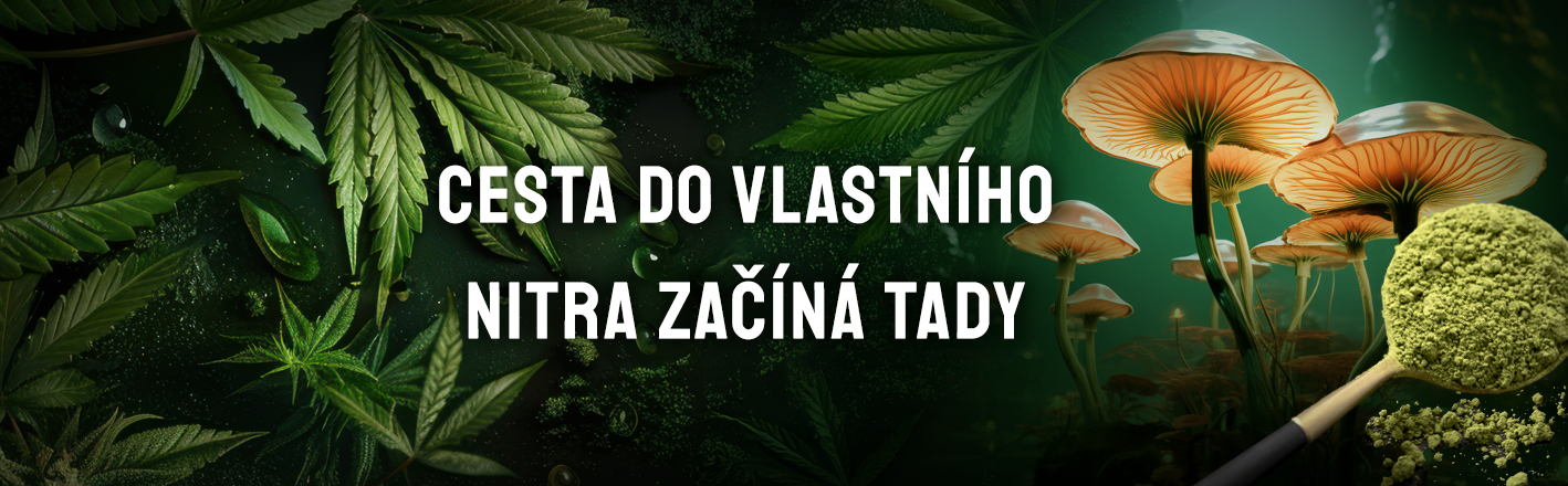 Nový PC