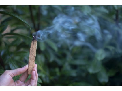 Palo Santo vydymovadlo sväté drevo Magické LONO