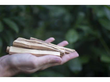 Palo Santo sväté drevo 2a