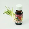 citronova trava lemongrass