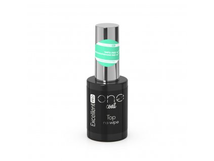 ONE COAT TOP NW 11G