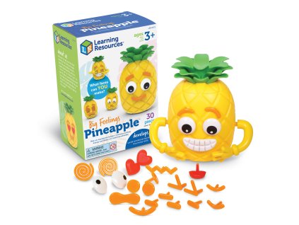6373 Big Feelings Pineapple BOX Prod sh 1 web