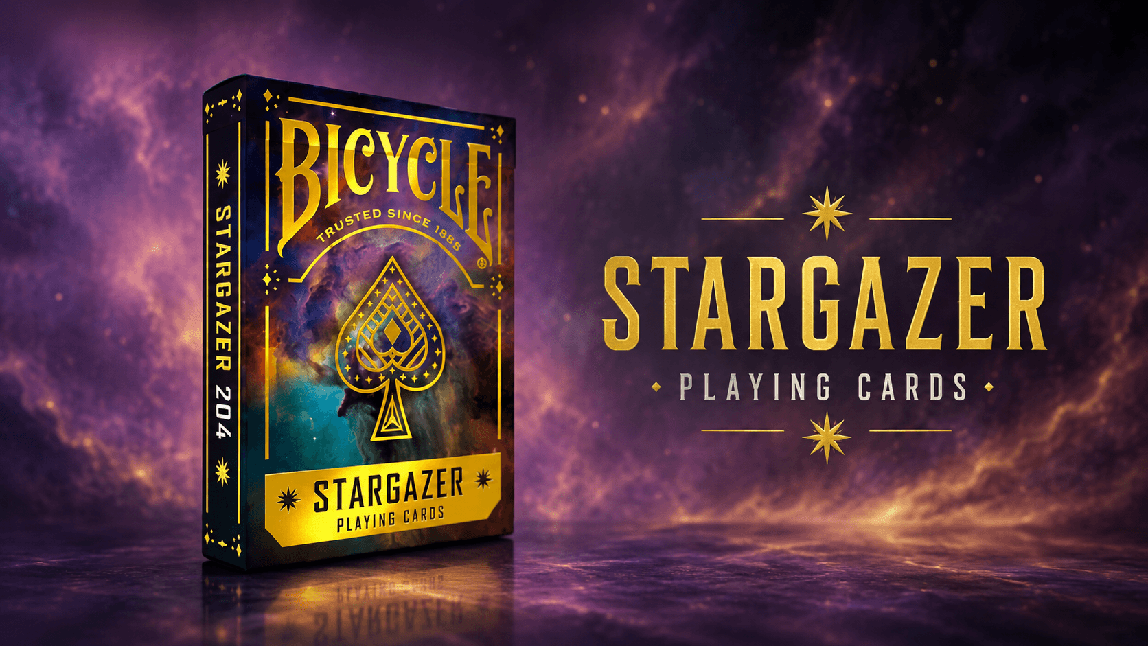 Stargazer 204