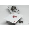 LUXX® Palme Playing Cards