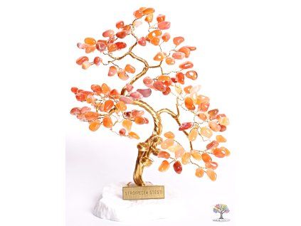 Carnelian lucky tree 25 cm - B3 - #125