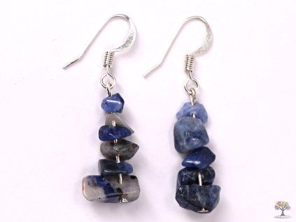 Sodalite earrings #24