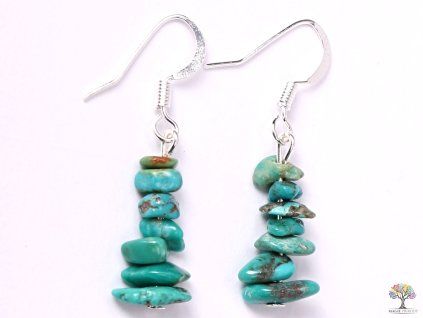 Turquoise earrings #27