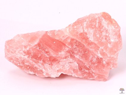 Różanec surowy 1 szt. - 1,0 - 1,5 kg - najwyższa jakość