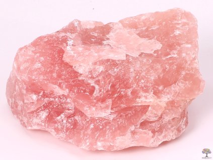 Różanec surowy 1 szt. - 1,5 - 2 kg - najwyższa jakość