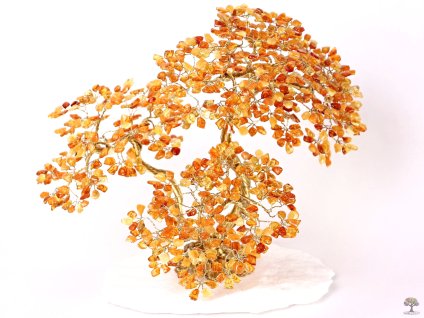 Jantar stromeček štěstí - bonsai 25 cm C3 + dárkové balení #187 + až 10% sleva po registraci