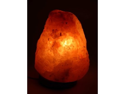Solná lampa elektrická 2.220 Kg #92