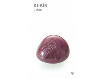 Rubín 1 1