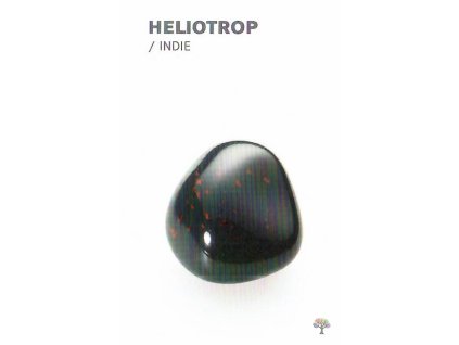Heliotrop Indie 1 1