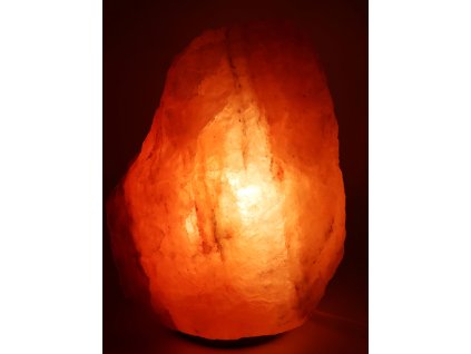 Solná lampa elektrická 21.460 Kg #144
