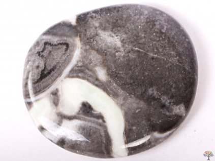 Hmatka Jaspis mušlový 40 - 45 mm  placička #114
