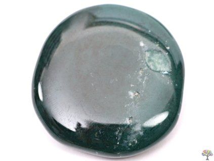 Palm stone Moss agate 40 - 45 mm disc #125