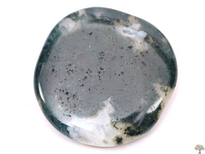 Palm stone Moss agate 45 - 50 mm disc #126