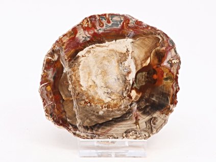 Skamieniałe drewno, płyta 170 g – 9 cm + podstawka #K806 Madagaskar