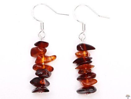 Earrings Amber #99