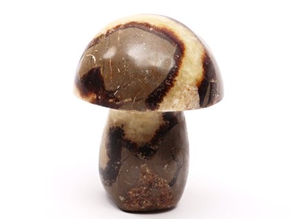 Grzyb z kamienia Septaria 78 mm - 284 g #B471