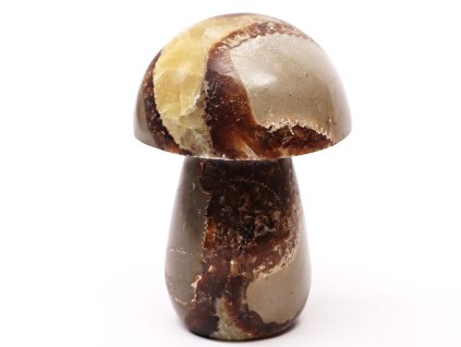 Grzyb z kamienia Septaria 96 mm - 415 g #B473