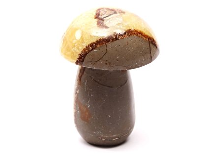 Grzyb z kamienia Septaria 97 mm - 410 g #C5