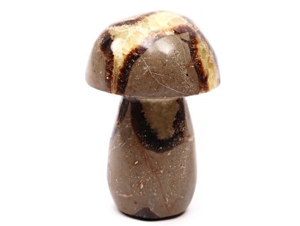 Grzyb z kamienia Septaria 104 mm - 508 g #C8