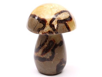 Grzyb z kamienia Septaria 101 mm - 471 g #C12