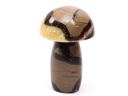 Grzyb z kamienia Septaria 88 mm - 248 g #C13