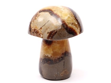 Grzyb z kamienia Septaria 88 mm - 359 g #C20