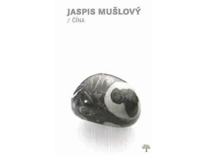 Jaspis mušlový Čína 1 1