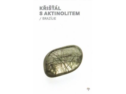 Křišťál s aktinolitem 1 1