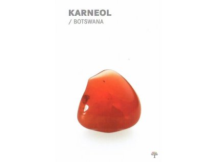 Karneol 1 1